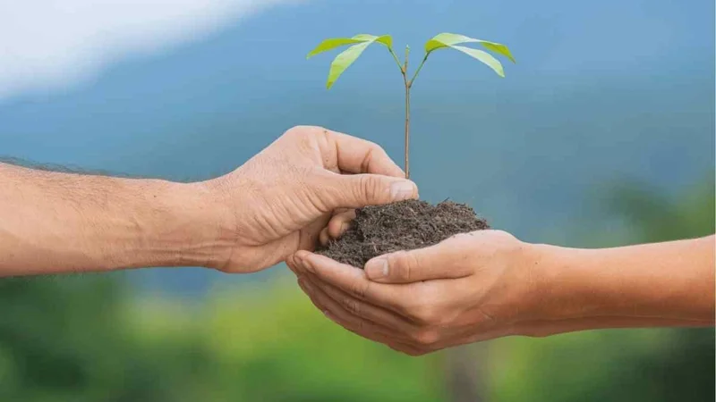 Persona orando con esperanza durante tiempos difíciles en una iglesia cristiana en Bogotá Colombia